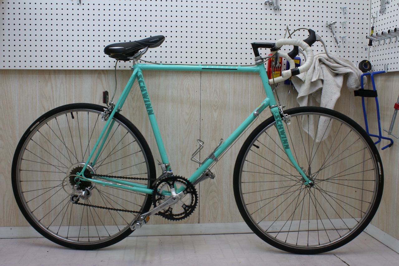 schwinn traveler