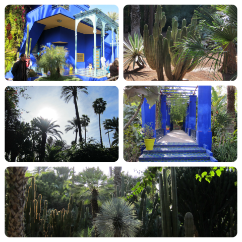 Les Jardin Majorelles