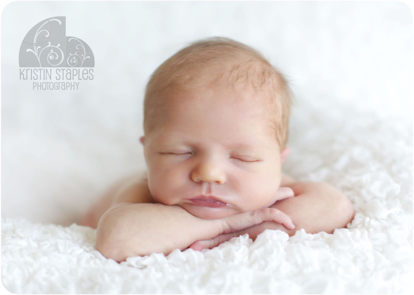 Kristin Staples Photography Absolute Perfection Salisbury