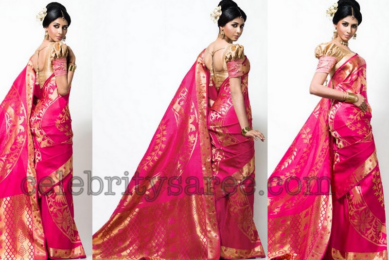 of Saree Sarees Pattern Saree pattern Silk Blouse For  Blouse Patterns  design  blouse