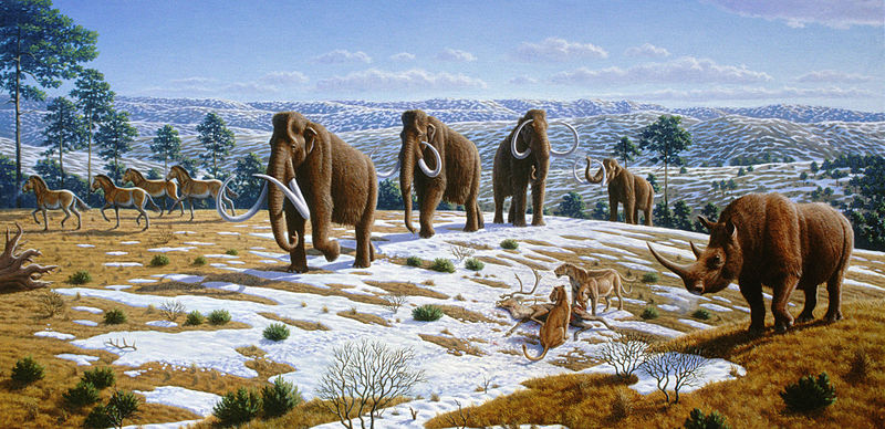 Extinción del Pleistoceno – Holoceno: comienza la sexta extinción A finales del Pleistoceno y comienzos del Holoceno desapareció gran parte de la megafauna del planeta. Este podría ser el inicio de la sexta extinción.