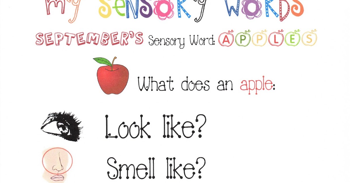 Classroom Freebies: My Sensory Words Anchor Chart Writing Prompts