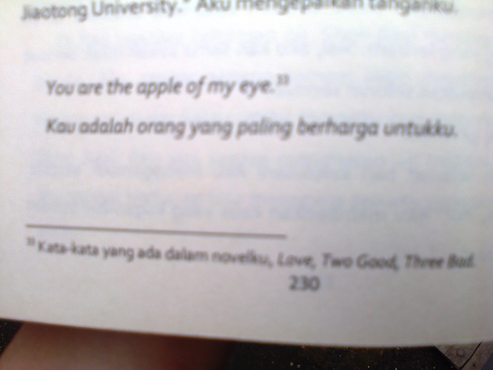 ebook novel indonesia you are the apple of my eye