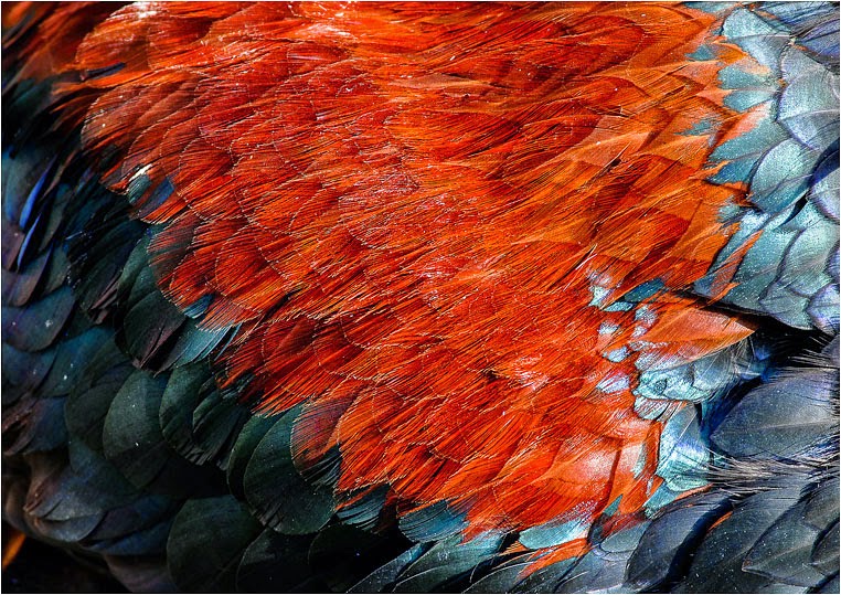 emerging photographers, Best Photo of the Day in Emphoka by Klaus Ressmann, https://flic.kr/p/qAdiRG emerging photographers, Best Photo of the Day in Emphoka by Klaus Ressmann, https://flic.kr/p/qAdiRG