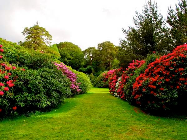 Killarney National Park - the oldest Ireland castle gardens