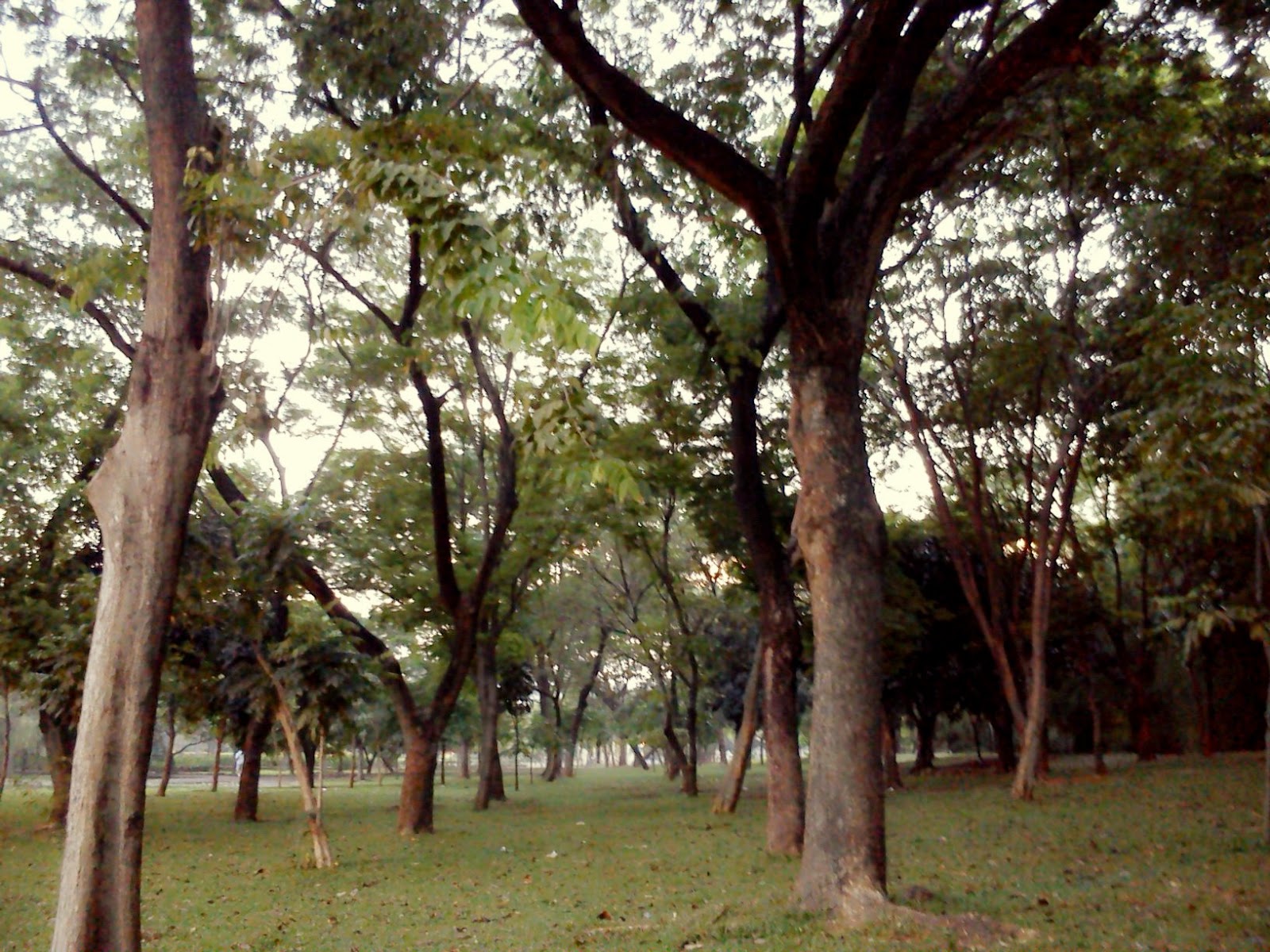 dbee Curly's Curiosity: Jogging @ Taman Cattleya