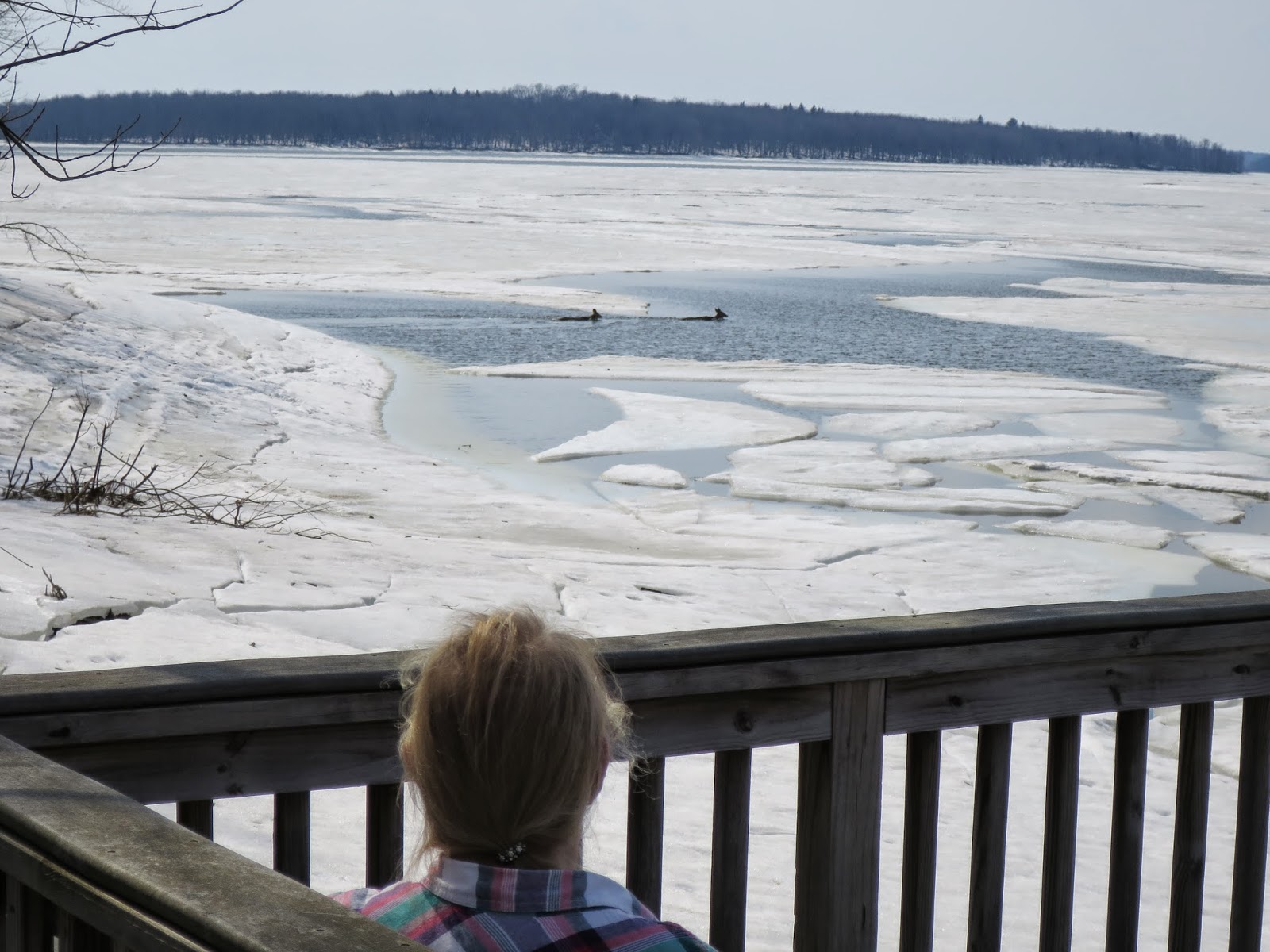Fishing & Hunting in Oswego County, NY Salmon River Reservoir Thawing