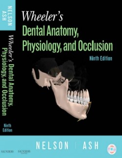 interactive functional anatomy 2nd edition