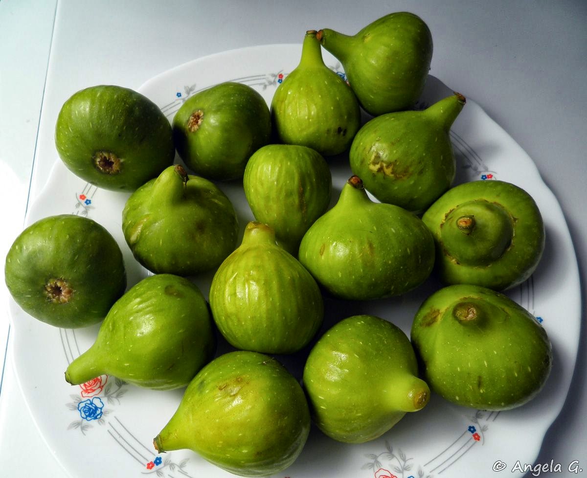 [productosDeLaTierra_09]