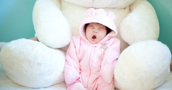 Gambar Boneka Lucu Boneka Beruang Lucu dan Imut