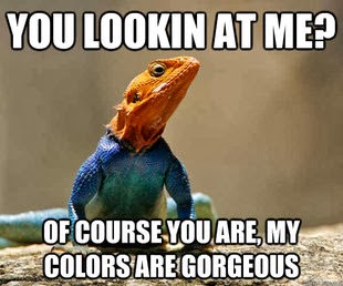 brazillian+wax+lizard+meme.jpg