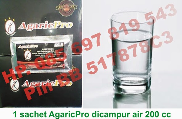 cara mengatasi teratozoospermia paling uh agaricpro ku cara mengatasi teratozoospermia paling uh agaricpro ku