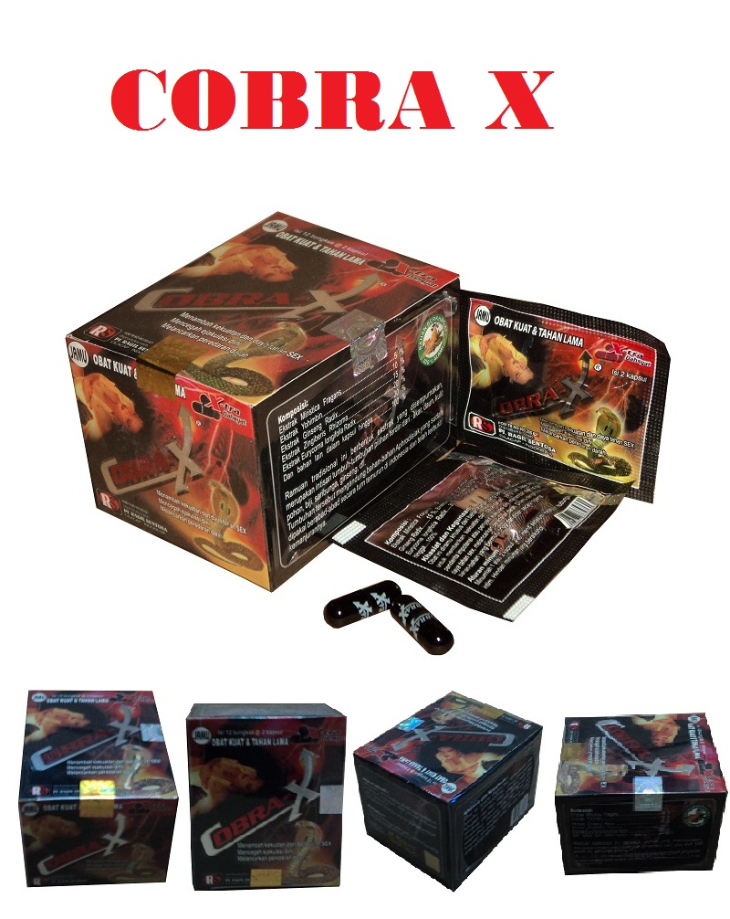 COBRA X " KAPSUL KUAT PRIA ~ TOKO HERBAL 07 Pijat Refleksi Ejakulasi Dini - Pijat Gaol
