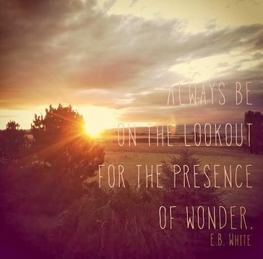 Sweet Tea and Sunshine: Instagram quotes Sweet Tea and Sunshine: Instagram quotes