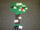 Labeling parts of an Apple Tree.