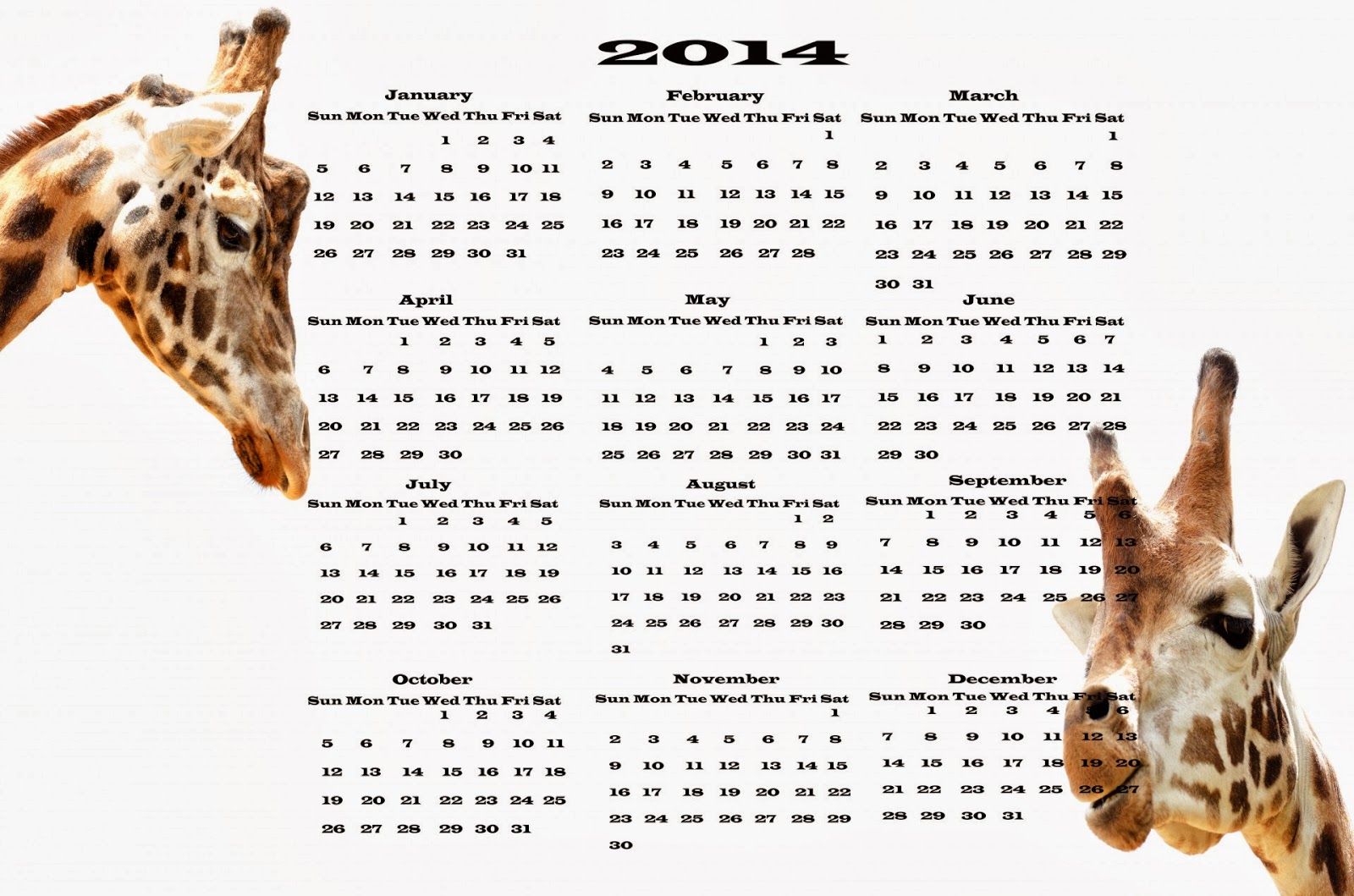 Calendar 2014 Animal Calendar 2014 Animal