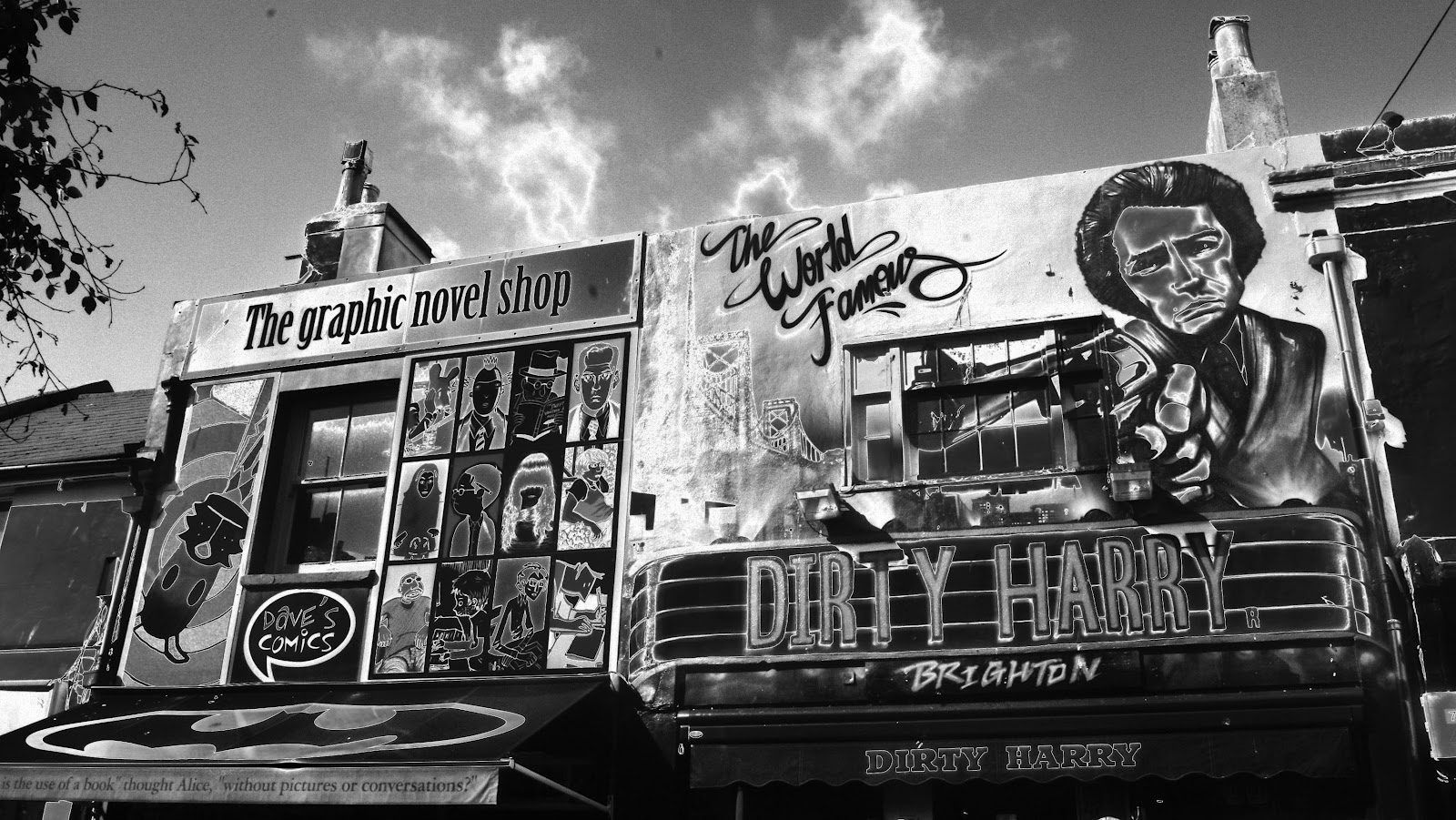 Rochelle Youngs Photography Blog Solarisation Experiments