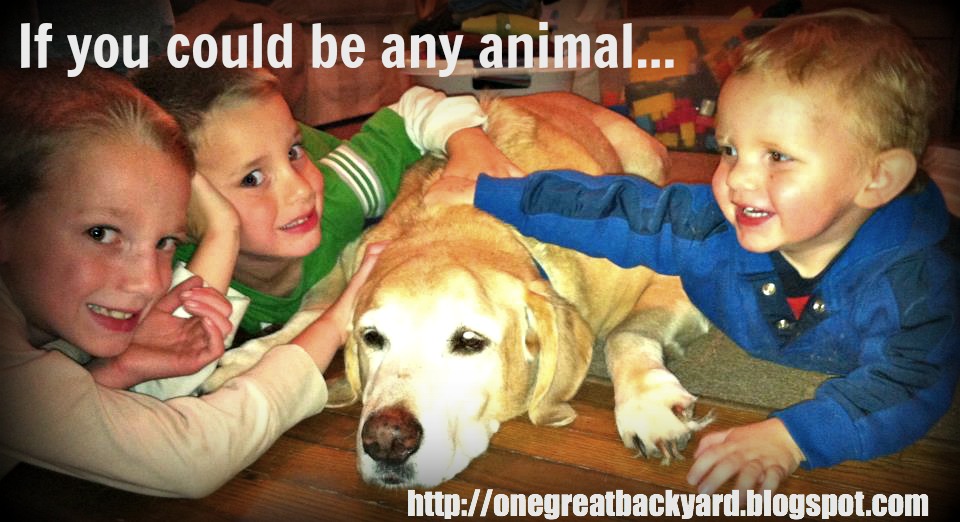 One Great Backyard Get Outside and Play If you could be any animal...