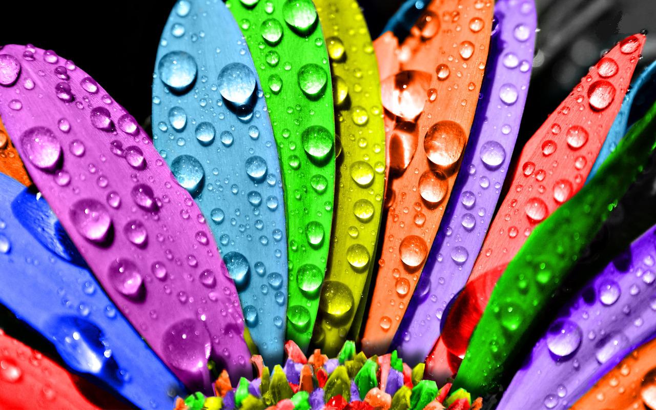 Colorful Backgrounds Wallpapers Colorful Backgrounds Wallpapers