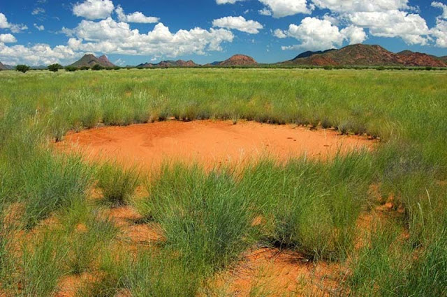 Los misteriosos círculos de Namibia. Noticias curiosas
