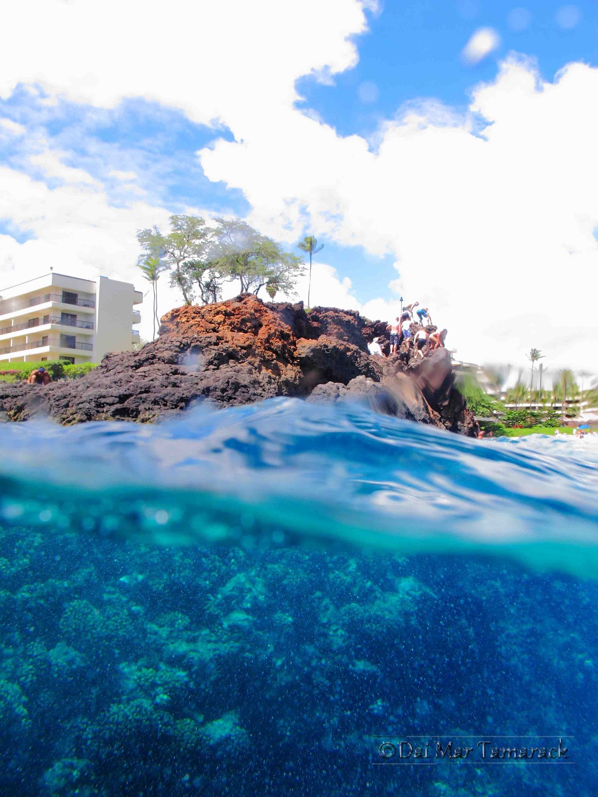 Capturing the Moment Amazing Black Rock, Diving Maui