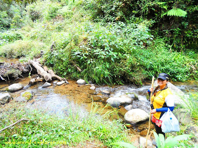 Pula, Banaue