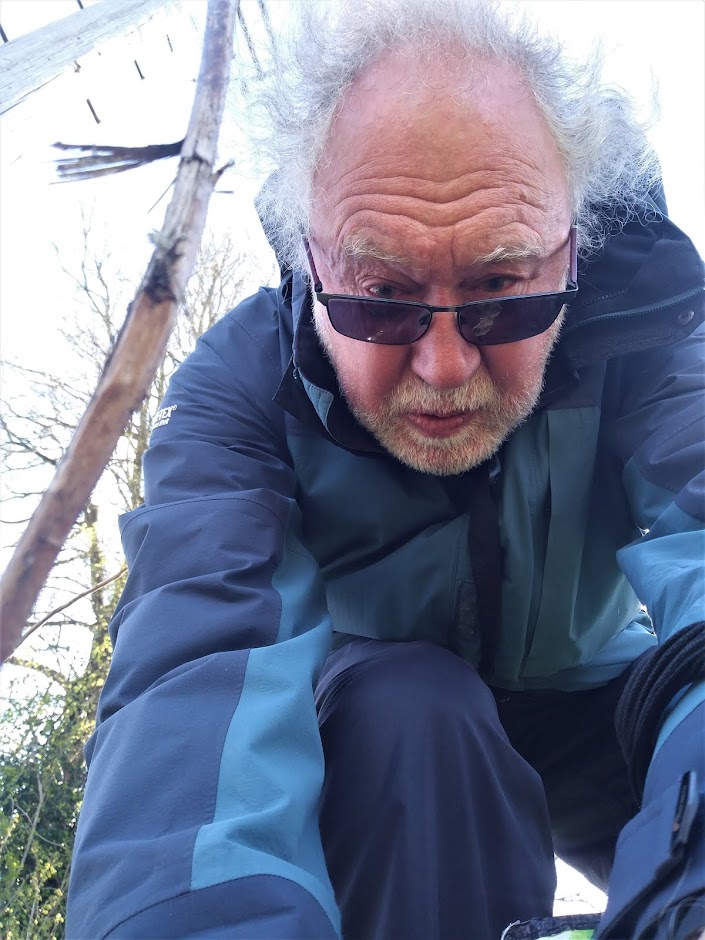 Professor P.Brain's blog