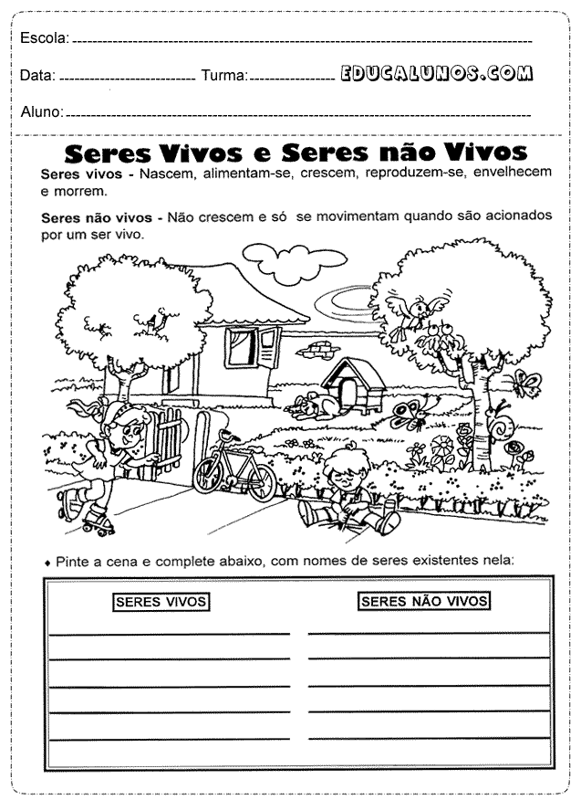 Seres vivos e seres não vivos