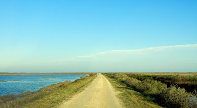 Driving through the Brazoria National Wildlife Refuge Driving through the Brazoria National Wildlife Refuge