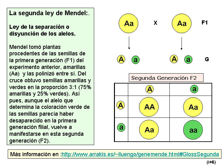 LEY 3 89 ley 3 89: