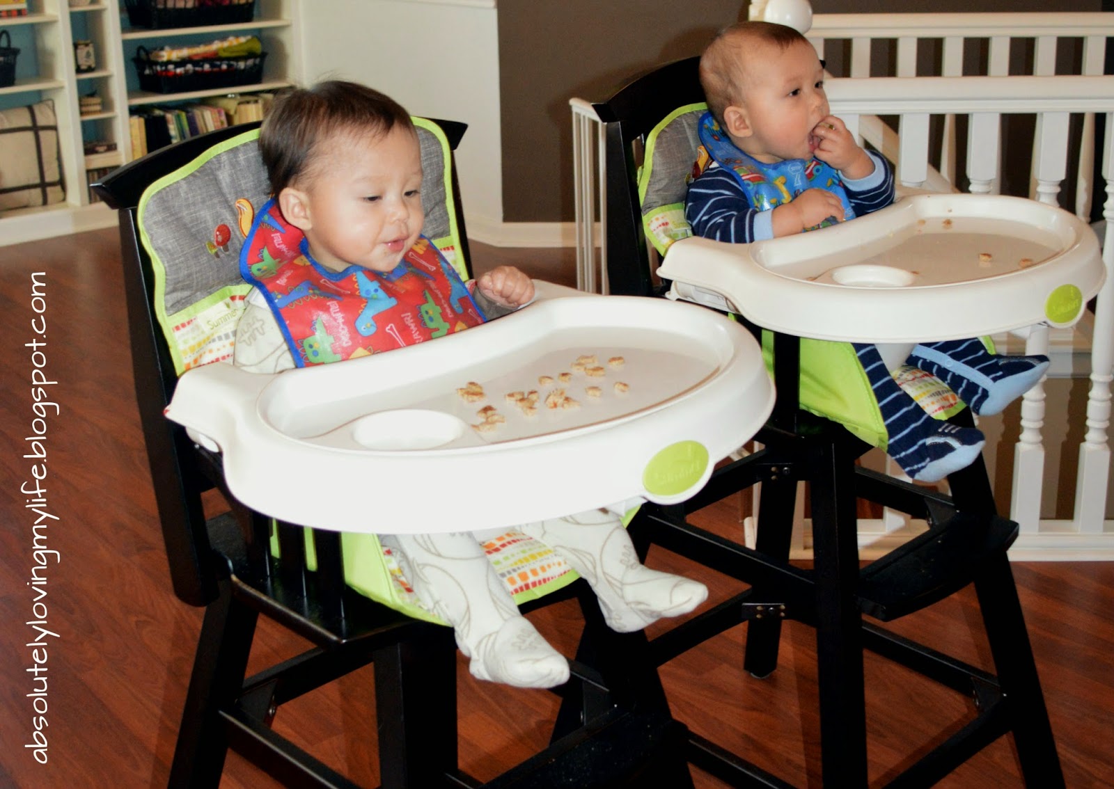 Loving Life Baby Equipment for Twins