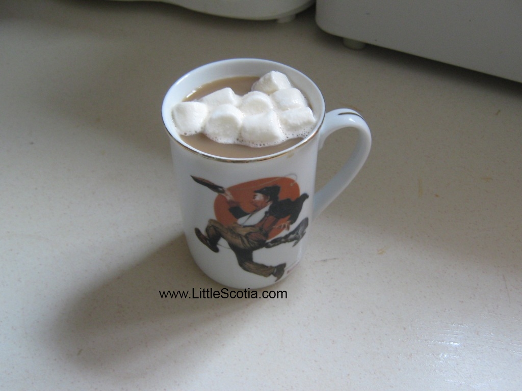 Little Scotia Midland Ontario Shop Local Marshmallows in Coffee???
