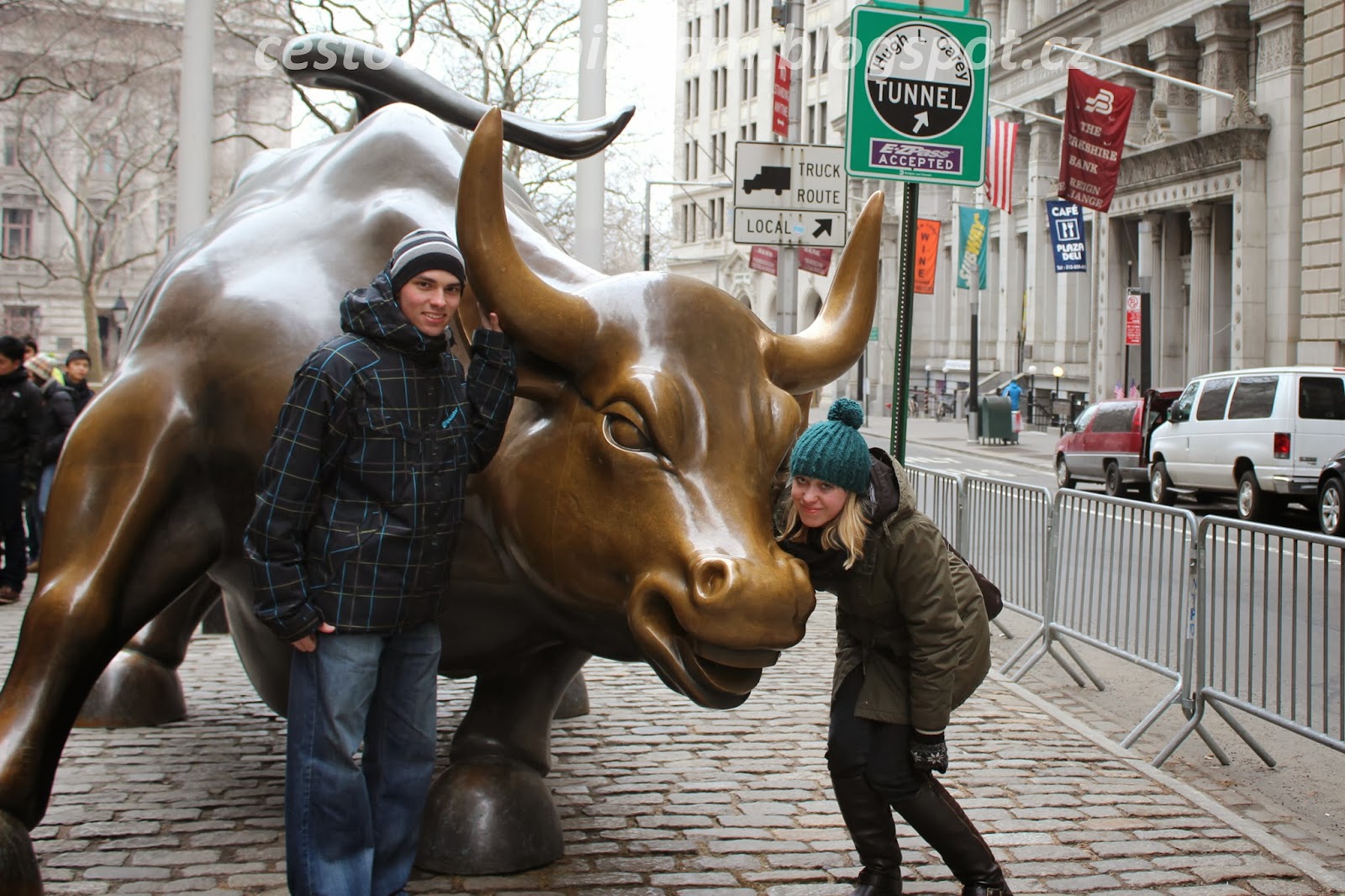 Charging Bull Charging Bull