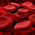 Blood Disorder | Types of Blood Disorders,