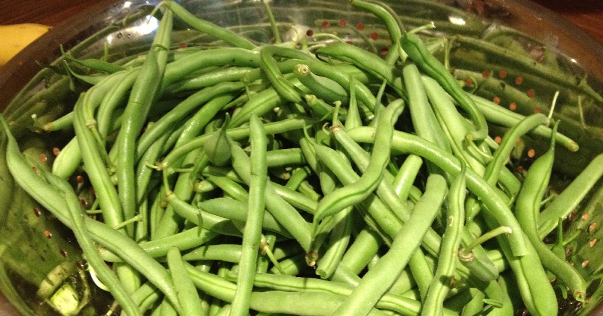 Headspace Green Beans A LoveHate Relationship