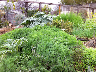 Homewood Heights Community Garden