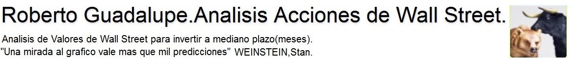 Roberto  Guadalupe. Análisis Acciones de Wall Street.