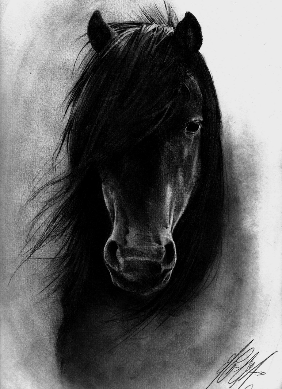 blackhorse Avatar
