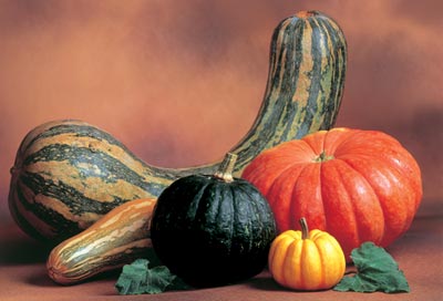 Graphics amd catalyst 11.11 free amd catalyst 11.11 ati catalyst windows xp