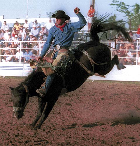 Auto House of Clovis, Inc.: Clovis Rodeo