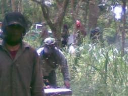 panen peternak lebah madu hutan