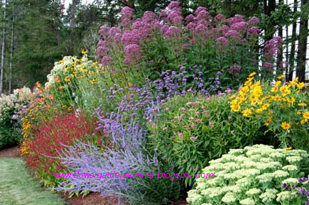 Flower Garden Planner - Expert : Perennial Garden Design