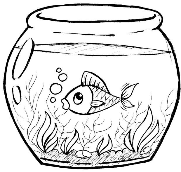imagens de desenhos de peixes para colorir - Desenho de um peixe listrado para colorir Hello Kids