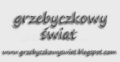 Wizytówka