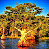 Cypress Lakes, Florida