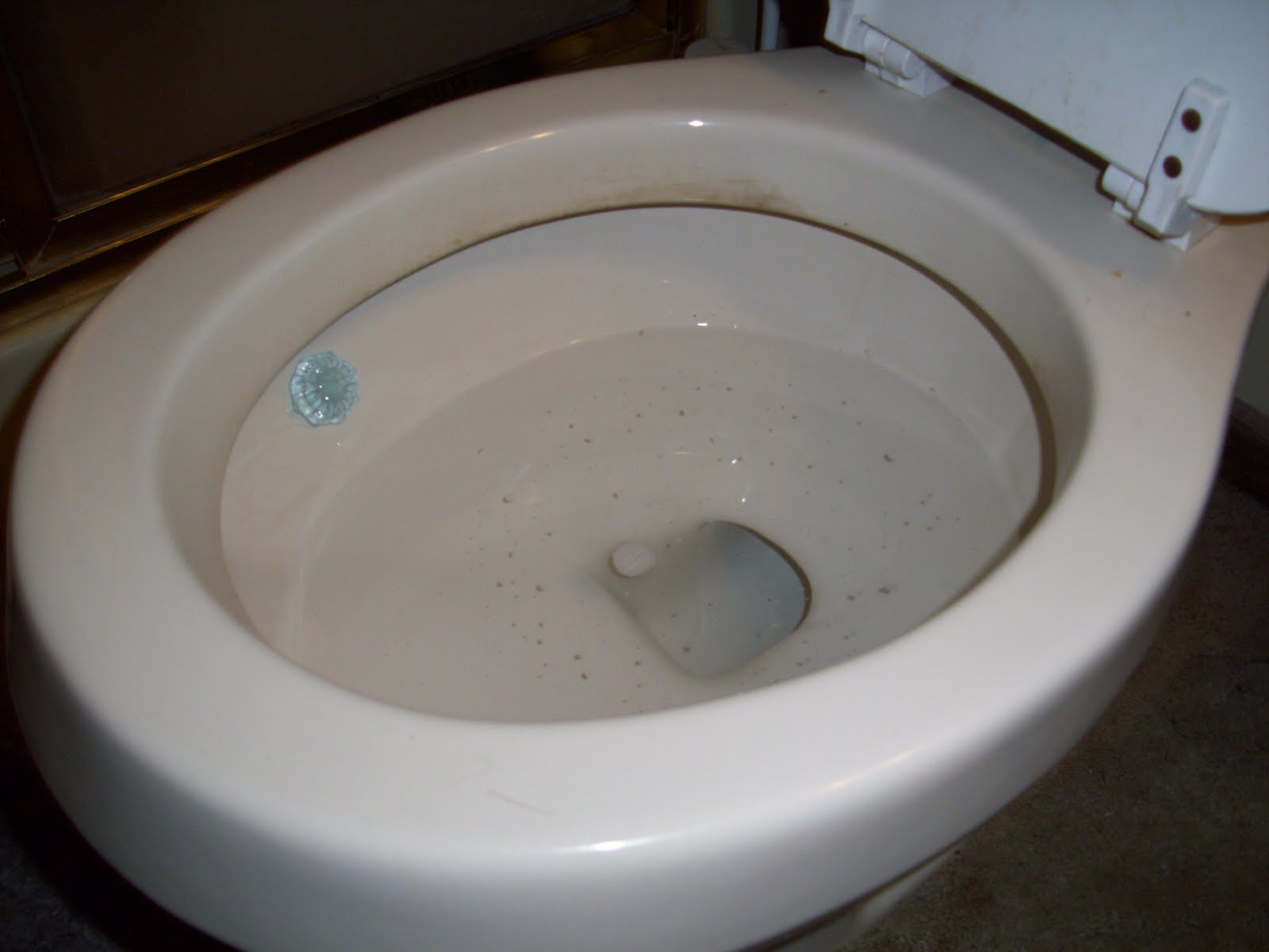 Don T Use Those Blue Tabs In Your Toilet You Ve Been Warned Youtube
