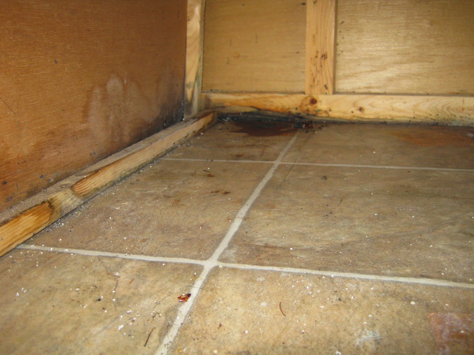 Puma travel trailer water damage RV repair renovate flooring http://makingmemoriesrv.blogspot.com/
