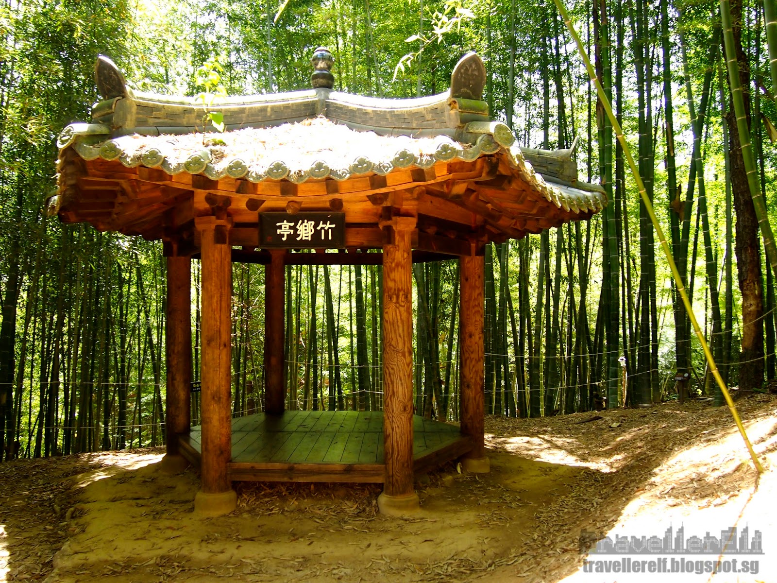 Damyang Bamboo County Travellerelf