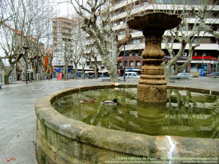 Los patos nadando en la fuente de la plaza de las Mercedes Plaza de las Mercedes