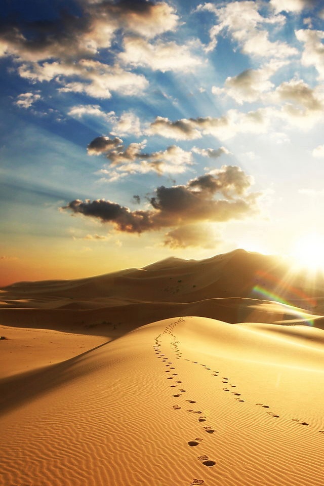 Free Iphone Wallpapers Hd Desert Footprint Cool Iphone4 Free Iphone Wallpapers Hd Desert Footprint Cool Iphone4